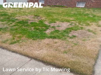 Lawn Maintenance nearby Decatur, IL, 