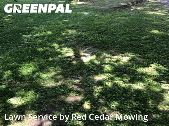 Lawn Care nearby Lansing, MI, 
