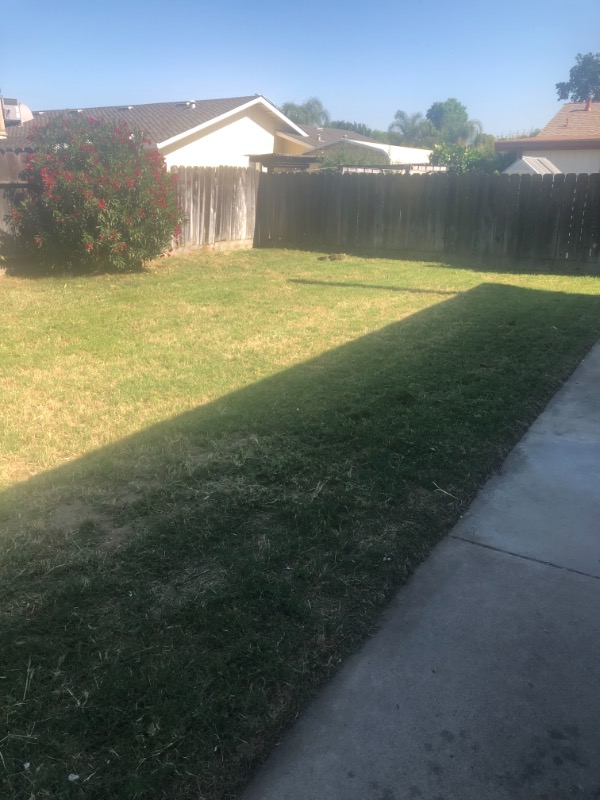 Lawn Care Service in Modesto, CA, 95351