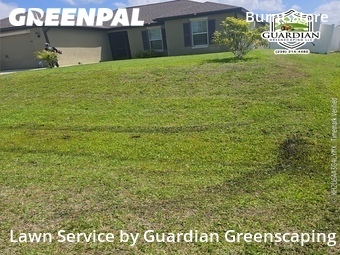 Lawn Cut nearby Cape Coral, FL, 