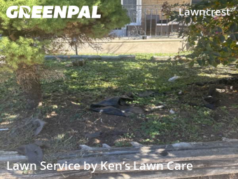 Lawn Care Service nearby Philadelphia, PA, 