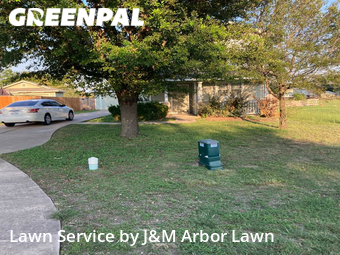 Yard Mowing nearby Round Rock, TX, 