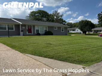 Grass Cut nearby Affton, MO, 
