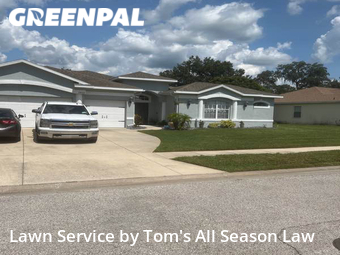 Lawn Mowing nearby Spring Hill, FL, 
