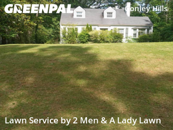 Lawn Servicein East Point,30344,Lawn Mow by 2 Men & A Lady Lawn , work completed in Jan , 2026