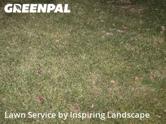 Yard Cuttingin Aurora,80016,Lawn Care Service by Inspiring Landscape, work completed in Nov , 2025