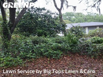 Lawn Mowing Service nearby Winter Springs, FL, 