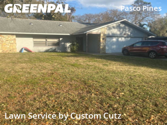 Lawn Cut nearby Holiday, FL, 