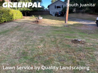 Yard Care Services in Kirkland, 98033, Grass Services by Quality Landscaping, work completed in Oct , 2025