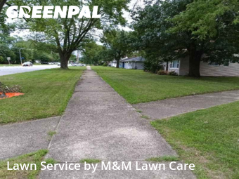 Backyard Mowing in Dolton, 60419, Grass Cutting by M&M Lawn Care, work completed in Nov , 2025
