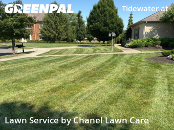 Lawn Cut nearby New Albany, OH, 