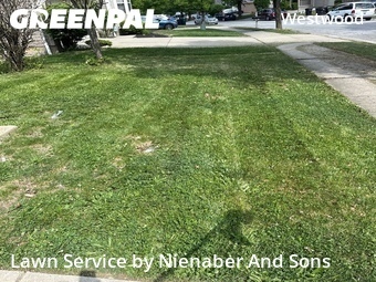 Grass Cutting nearby Cincinnati, OH, 