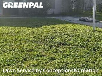 Lawn Mowing nearby Sanford, FL, 