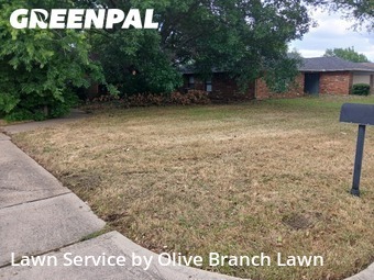 Yard Cuttingin Keller,76248,Grass Cut by Olive Branch Lawn, work completed in Feb , 2026