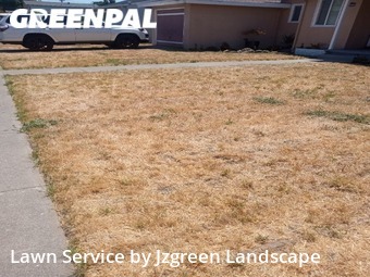 Lawn Maintenance nearby San Lorenzo, CA, 