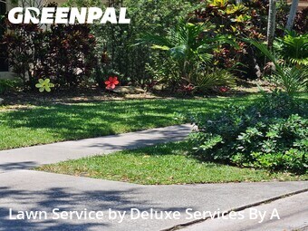 Lawn Mowin Plantation,33322,Lawn Care Service by Deluxe Services By A, work completed in Jun , 2026
