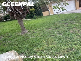 Lawn Mowing nearby St. Petersburg, FL, 
