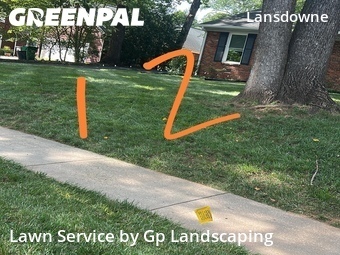 Yard Cutting nearby Charlotte, NC, 