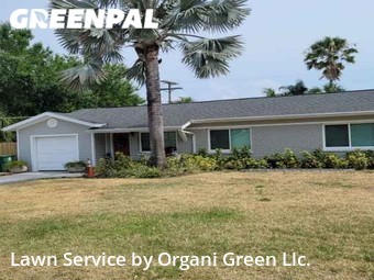 Lawn Mow nearby Tampa, FL, 