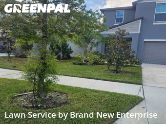 Grass Cut nearby Riverview, FL, 