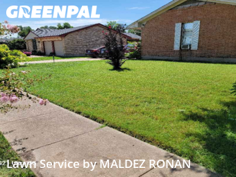 Grass Cut nearby Garland, TX, 