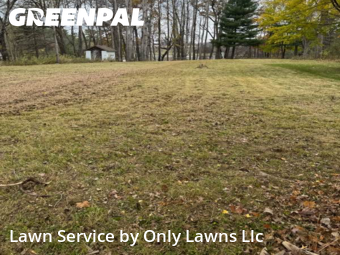 Yard Care Services in Oxford, 53952, Lawn Services by Only Lawns Llc, work completed in Nov , 2025