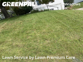 Grass Cut nearby Omaha, NE, 