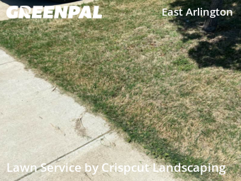 Lawn Care nearby Arlington, TX, 