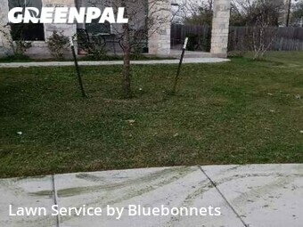 Lawn Cut nearby Round Rock, TX, 