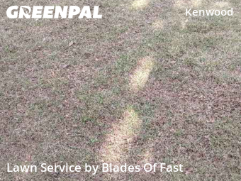 Grass Cut nearby Smyrna, GA, 