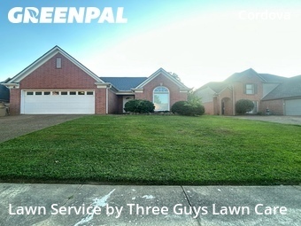 Lawn mowed in Cordova, 38016
