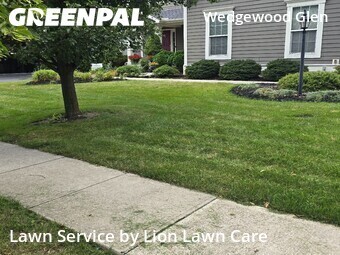Grass Cutting nearby Dublin, OH, 