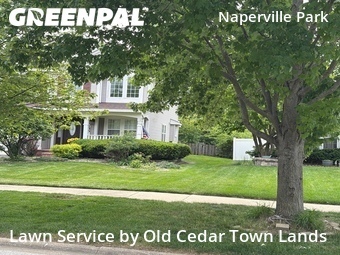 Grass Cut nearby Naperville, IL, 