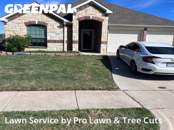 Lawn Cut nearby Grand Prairie, TX, 