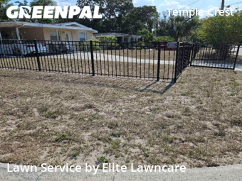 Lawn Mow nearby Tampa, FL, 