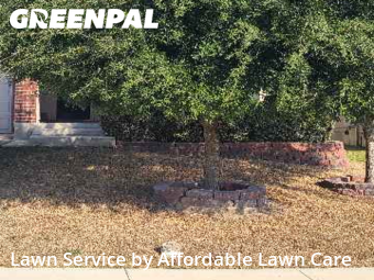 Lawn Service nearby New Braunfels, TX, 