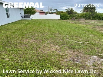 Lawn Cutting nearby Cape Coral, FL, 