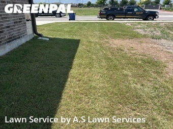 Yard Cutting nearby Cibolo, TX, 