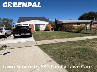 Grass Cut nearby Fraser, MI, 