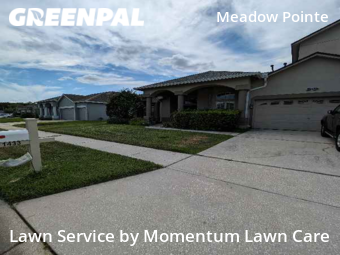 Lawn Cut nearby Wesley Chapel, FL, 
