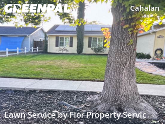 Lawn Mowing nearby San Jose, CA, 