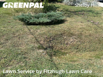 Lawn Service nearby Nashville, TN, 