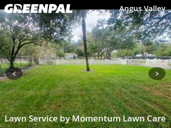 Lawn Mowing Service nearby Wesley Chapel, FL, 