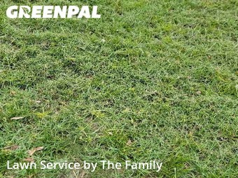 Yard Cutting nearby Longwood, FL, 