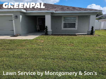 Lawn Care Service nearby Lakeland, FL, 