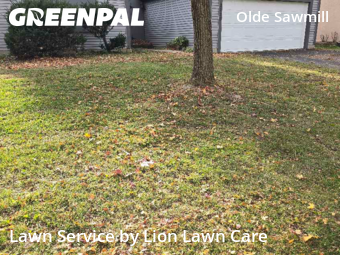 Lawn Cut nearby Dublin, OH, 