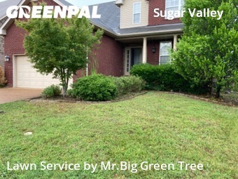 Yard Cutting nearby Nashville, TN, 