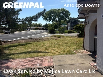 Grass Cut nearby Citrus Heights, CA, 
