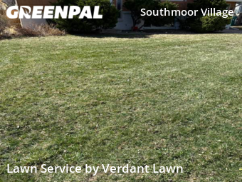 Lawn Mowing nearby Fort Collins, CO, 