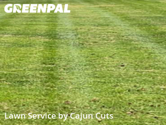 Lawn Mowing nearby Murfreesboro, TN, 